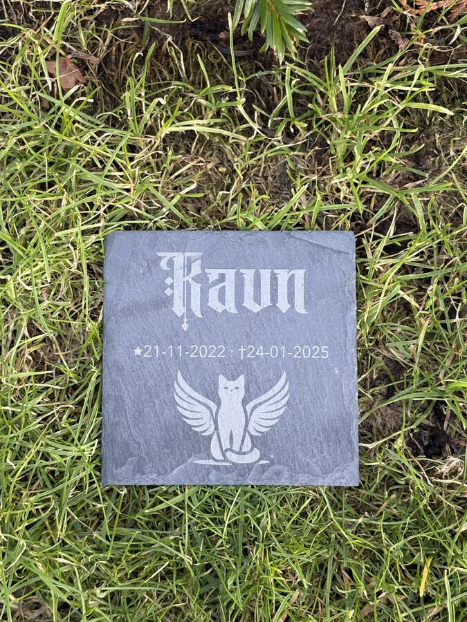 Gravstein/minnestein til kjæledyr