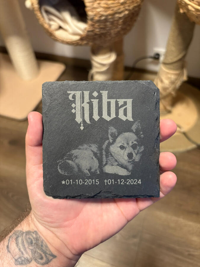 Gravstein/minnestein til kjæledyr - 400kr