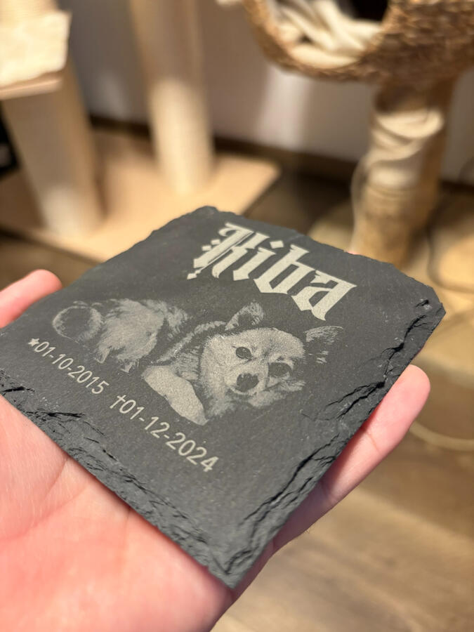 Gravstein/minnestein til kjæledyr